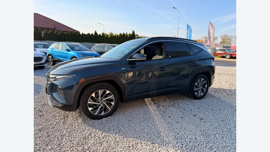 HYUNDAI Tucson Tucson 1.6 T-GDi HEV Executive 2WD