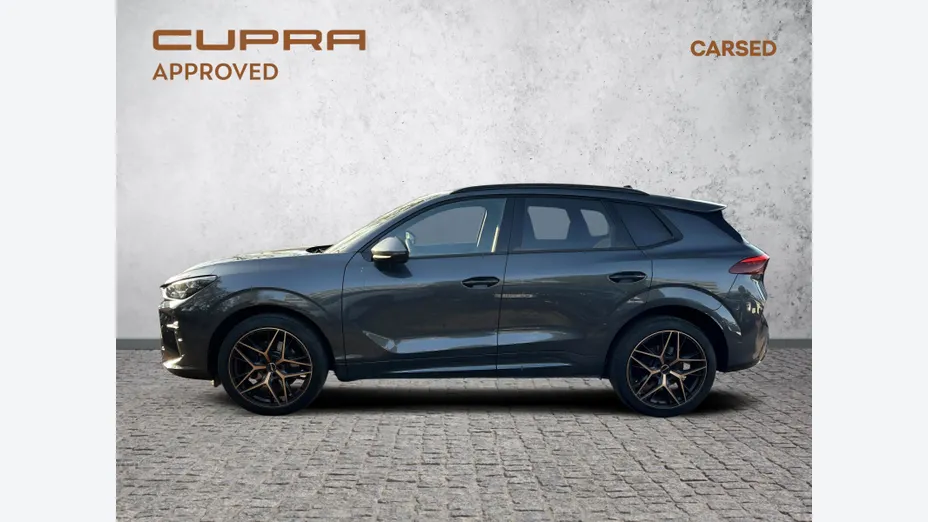 CUPRA Terramar Terramar 2.0 TSI 4Drive VZ DSG