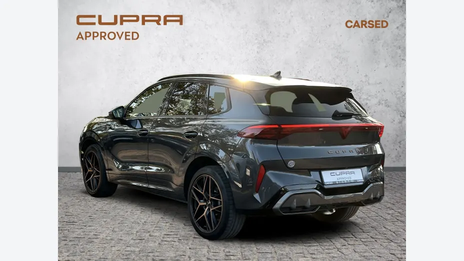 CUPRA Terramar Terramar 2.0 TSI 4Drive VZ DSG