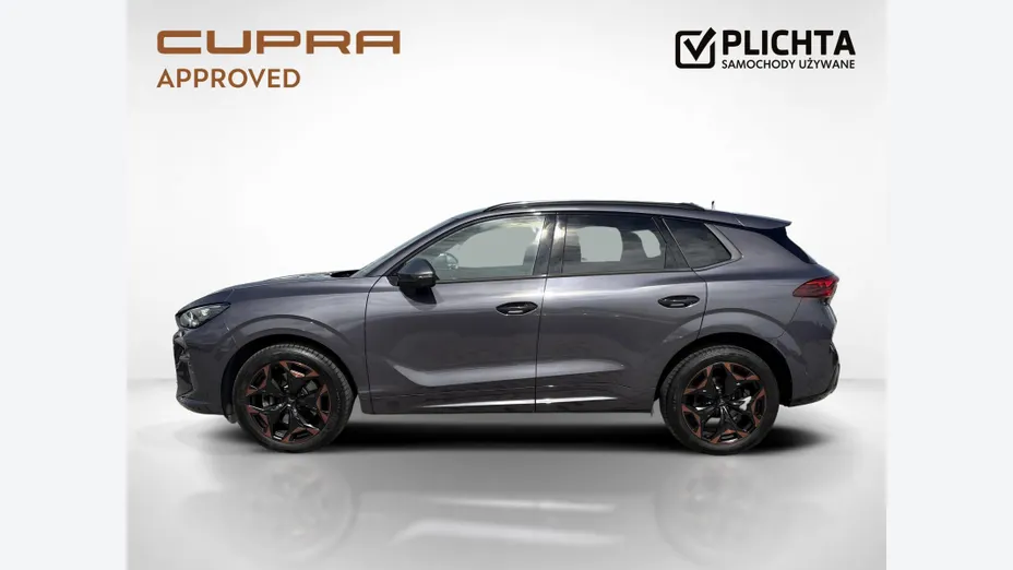 CUPRA Terramar Terramar 2.0 TSI 4Drive DSG