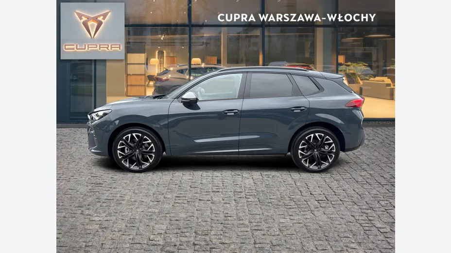 CUPRA Terramar Terramar 2.0 TSI 4Drive Advantage Edition DSG