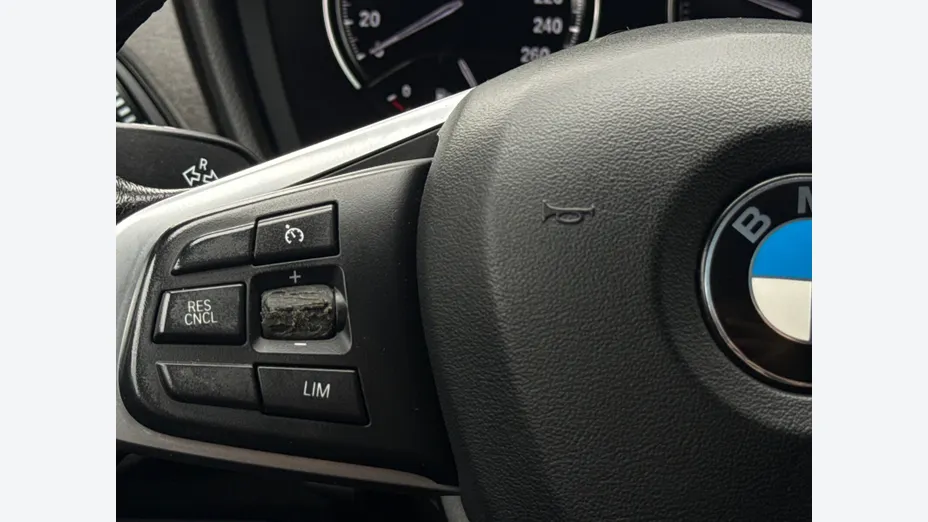 BMW X2 X2 sDrive18d Advantage aut