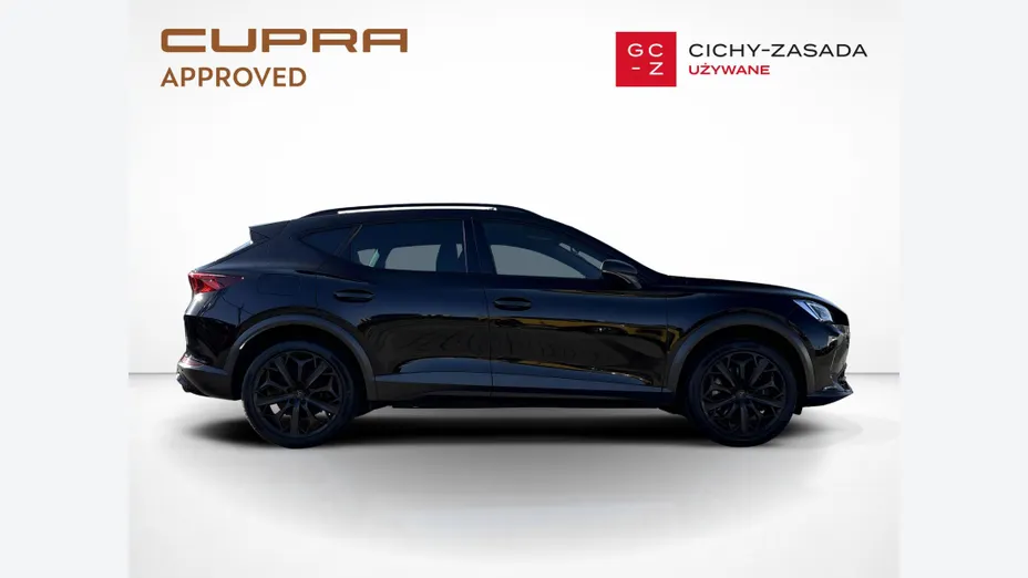 CUPRA Formentor Formentor 2.0 TSI 4Drive VZ Tribe Edition DSG