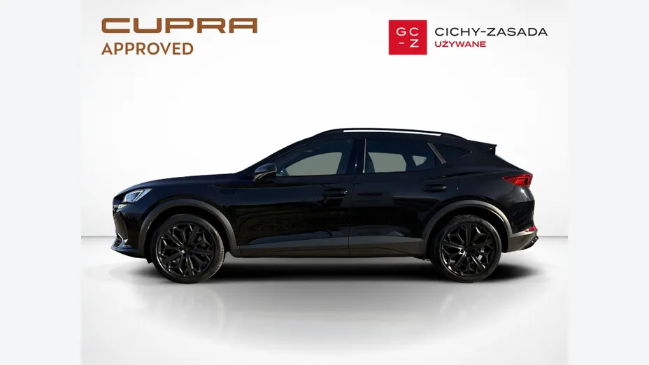 CUPRA Formentor Formentor 2.0 TSI 4Drive VZ Tribe Edition DSG