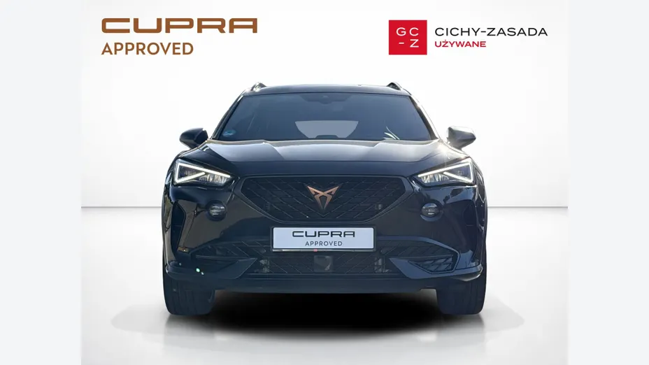 CUPRA Formentor Formentor 2.0 TSI 4Drive VZ Tribe Edition DSG