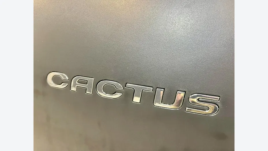 CITROEN C4 Cactus -