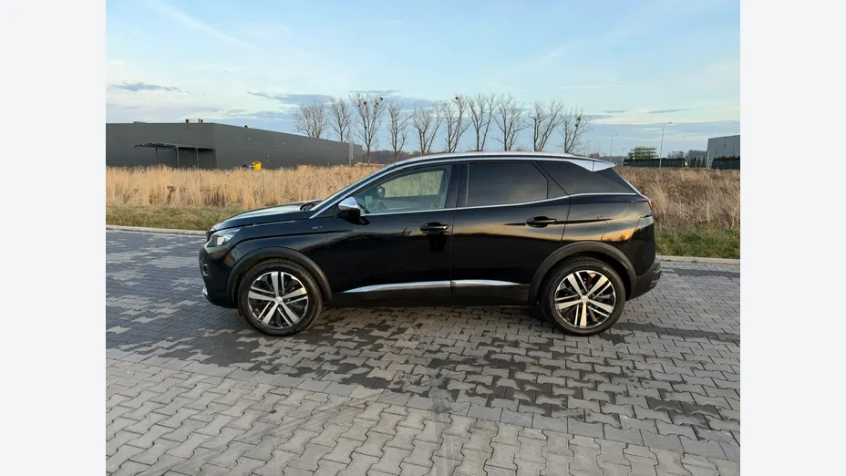 PEUGEOT 3008 -