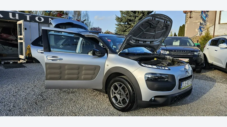 CITROEN C4 Cactus -