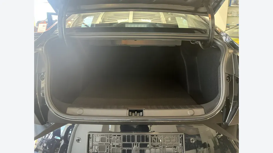 DONGFENG Shine -