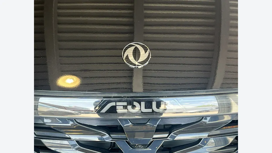 DONGFENG Shine -