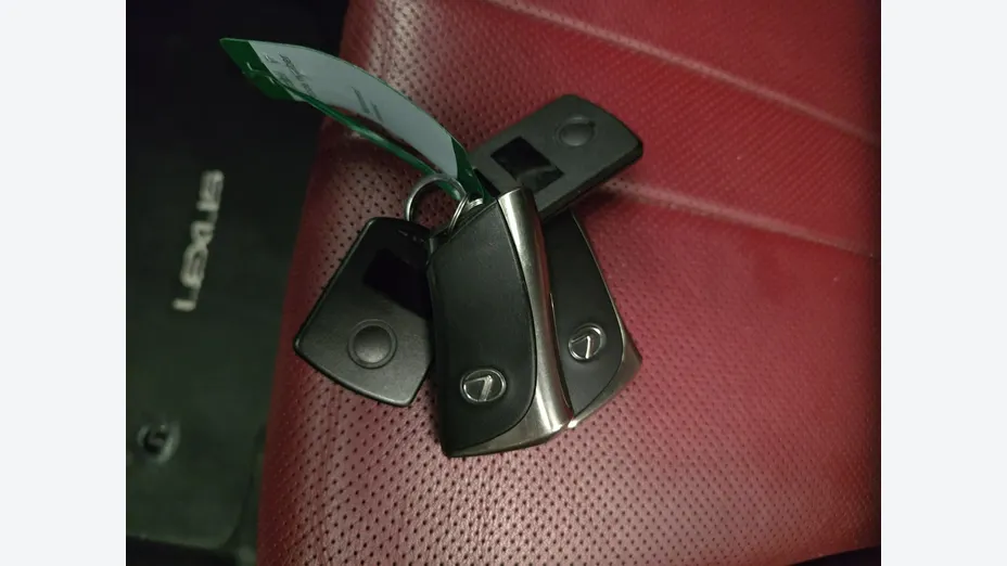 LEXUS RX -