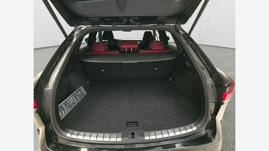 LEXUS RX -