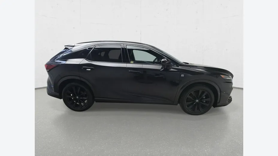 LEXUS RX -