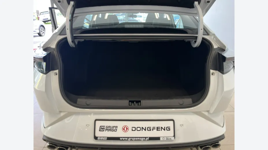 DONGFENG Shine -