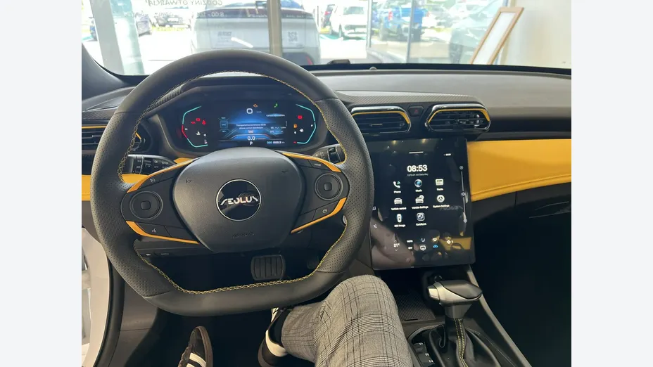DONGFENG Shine -