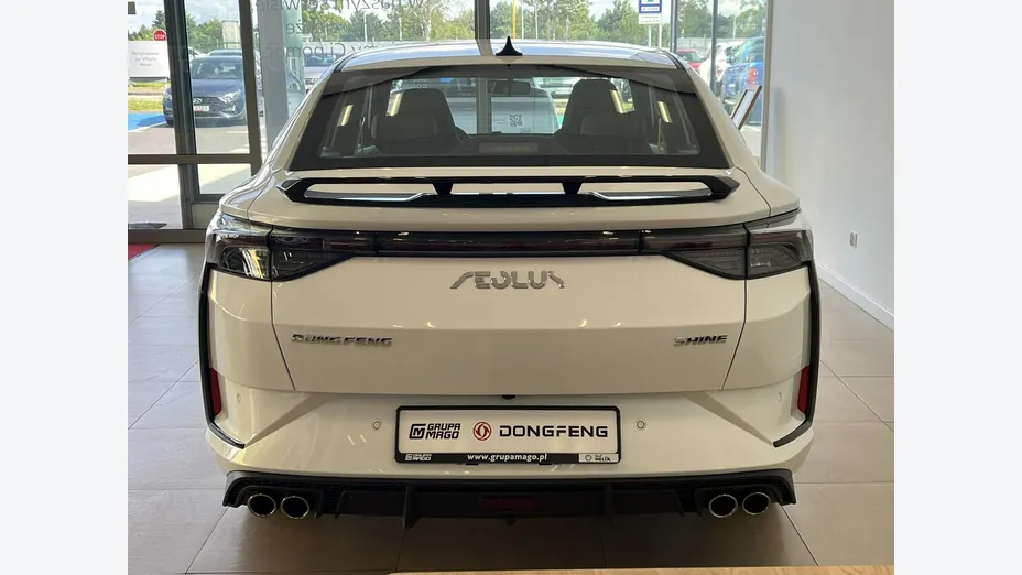 DONGFENG Shine -