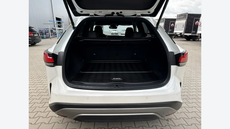 LEXUS RX -