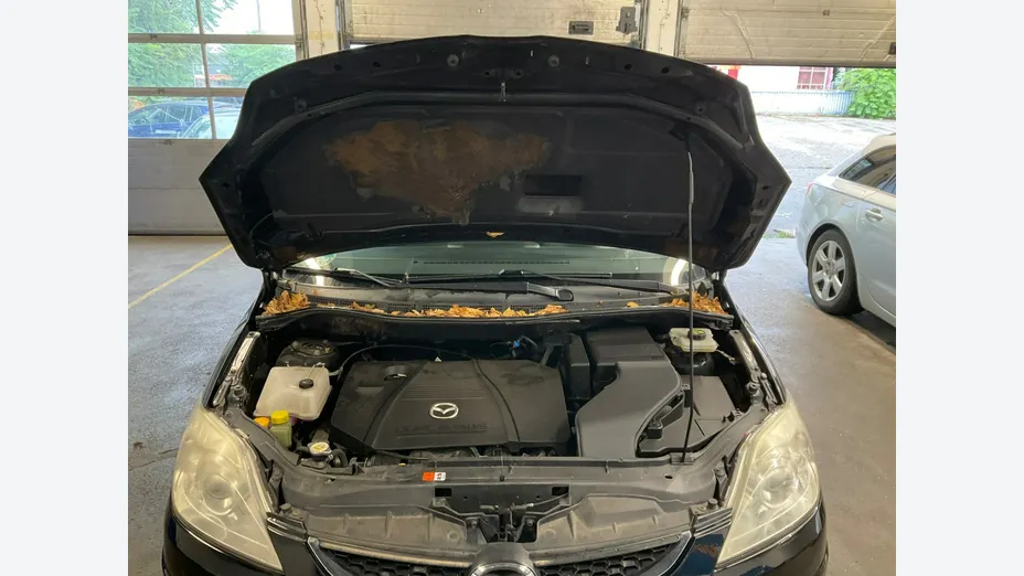 MAZDA 5 -