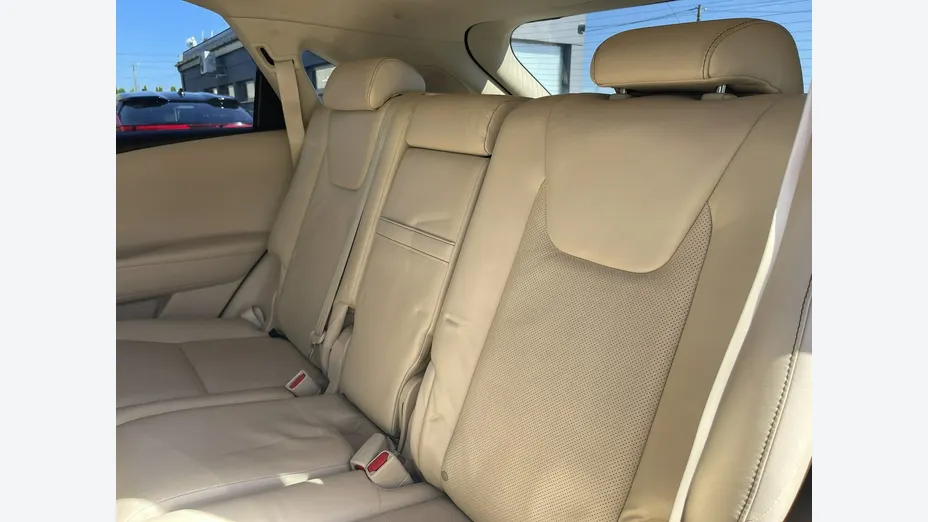 LEXUS RX -