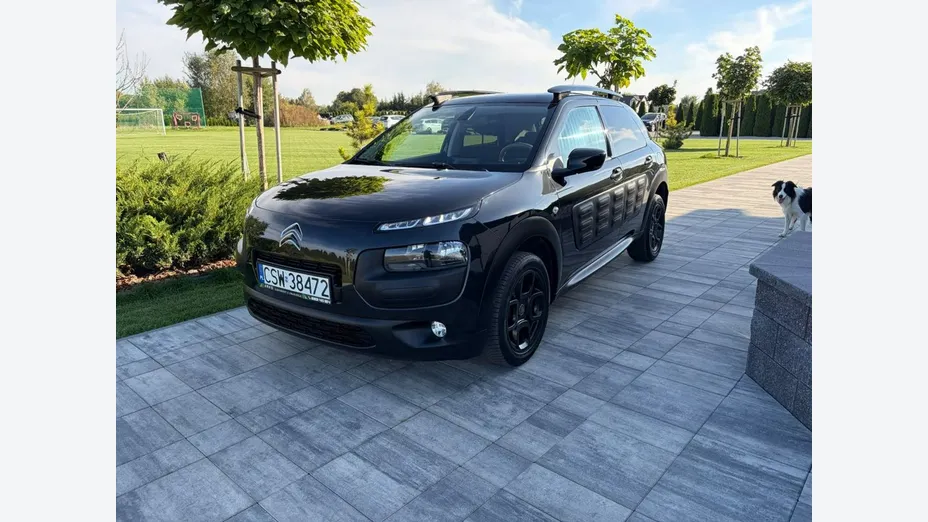 CITROEN C4 Cactus -