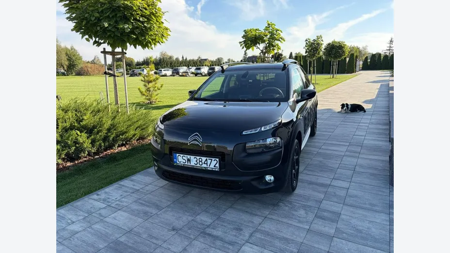 CITROEN C4 Cactus -