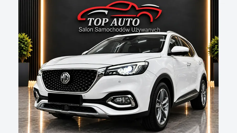 MG EHS -