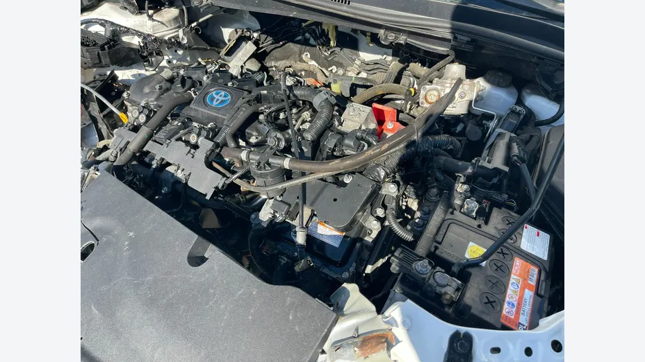 TOYOTA Corolla -