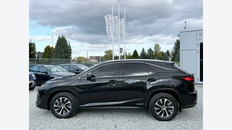 LEXUS RX -