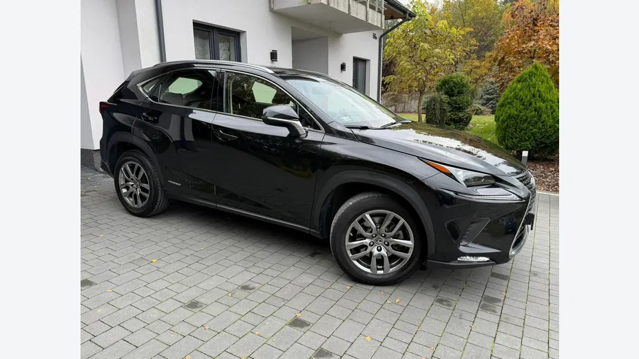 LEXUS NX -