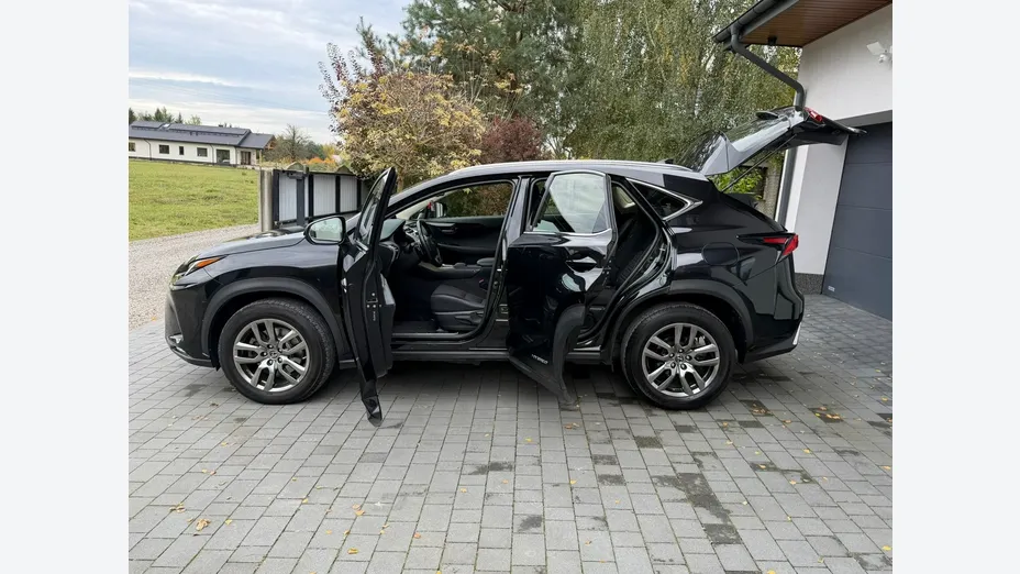 LEXUS NX -