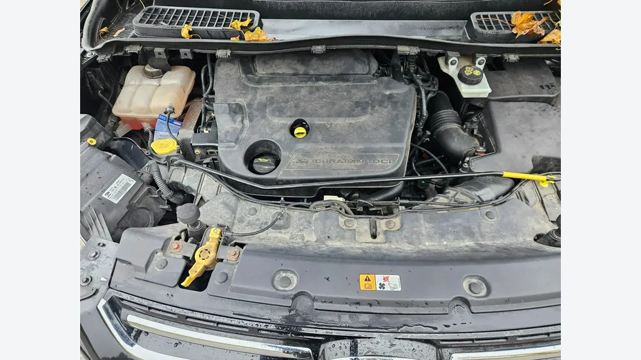 FORD Kuga -