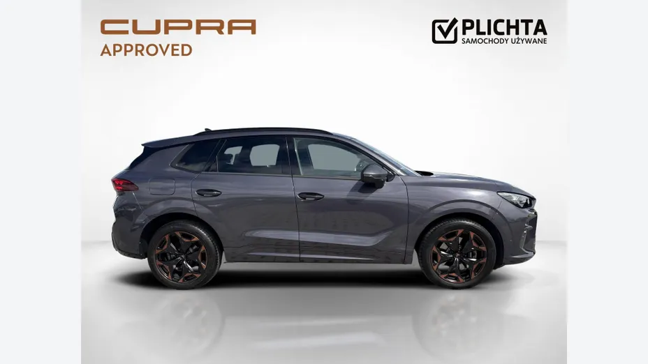 CUPRA Terramar Terramar 2.0 TSI 4Drive DSG