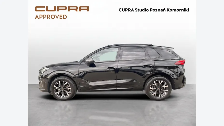 CUPRA Terramar Terramar 1.5 eTSI mHEV DSG