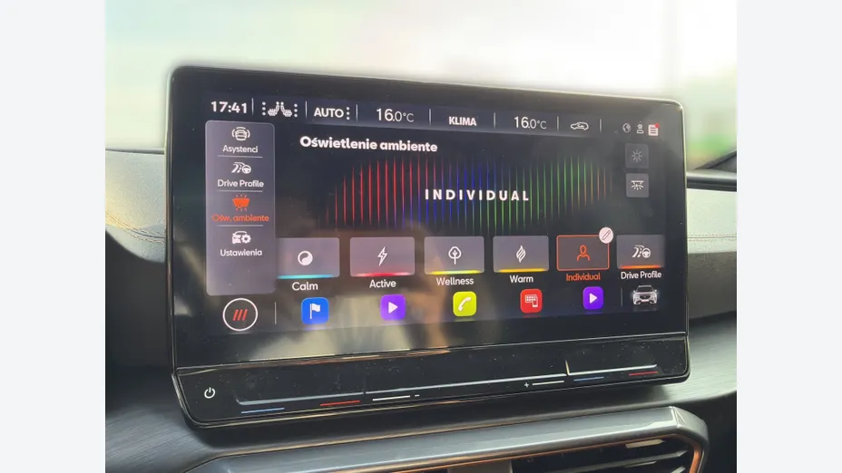 CUPRA Formentor Formentor 2.0 TSI 4Drive VZ DSG