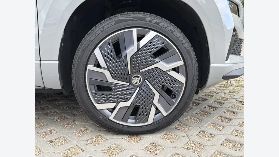 SKODA Karoq Karoq 2.0 TDI SCR 4x4 Sportline DSG