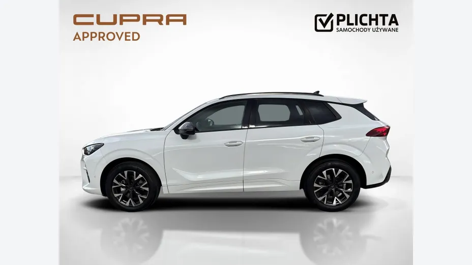 CUPRA Terramar Terramar 1.5 eTSI mHEV DSG