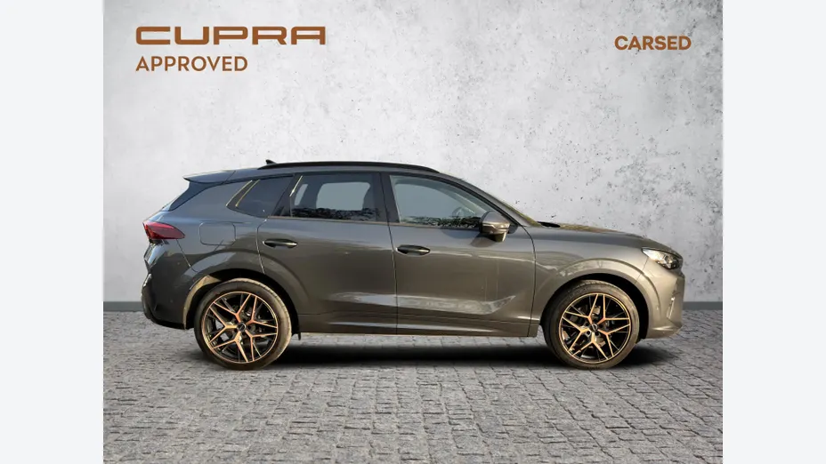 CUPRA Terramar Terramar 2.0 TSI 4Drive VZ DSG