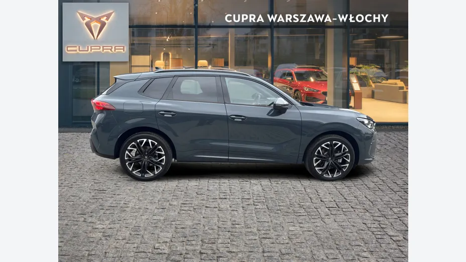 CUPRA Terramar Terramar 2.0 TSI 4Drive Advantage Edition DSG