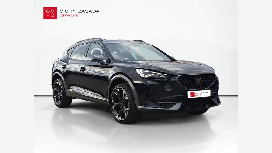 CUPRA Formentor Formentor 2.0 TDI 4Drive DSG