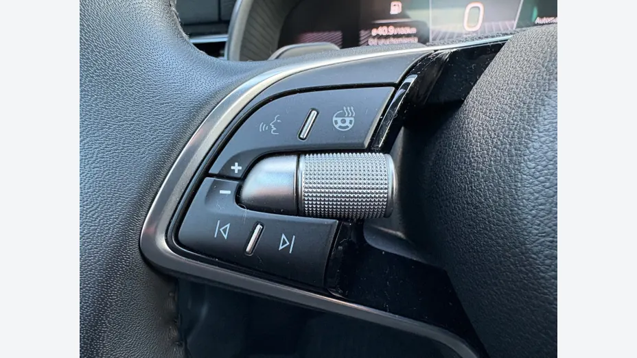 SKODA Kamiq Kamiq 1.0 TSI Monte Carlo DSG