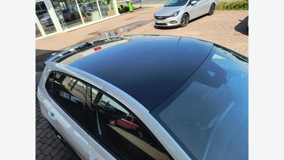 VOLKSWAGEN Polo Polo 2.0 TSI GTI DSG