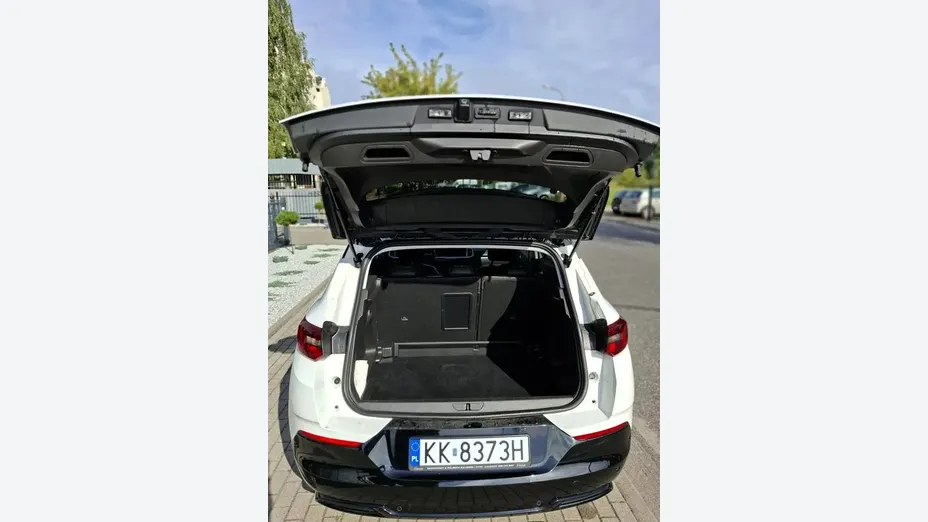 OPEL Grandland X Grandland 1.2 T GS S&S aut